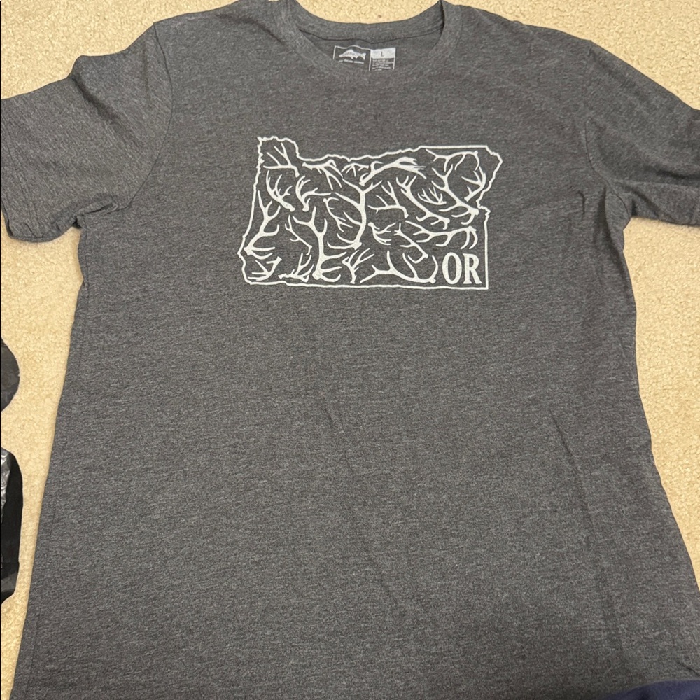 Mountain Graphic Gray T-Shirt
